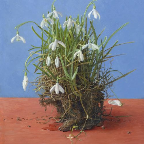 2MG-Kluitje-Sneeuwklokjes-2009-olieverf-op-paneel-37.0-x-28.0-cm-–-14.6-x-11-in-copy