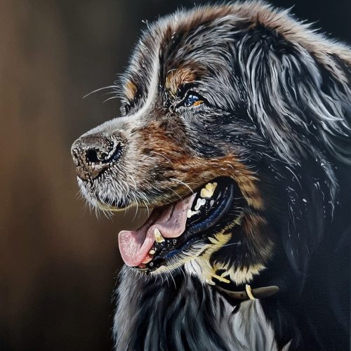 440807796_779838217580353_1947078030356911524_n-1