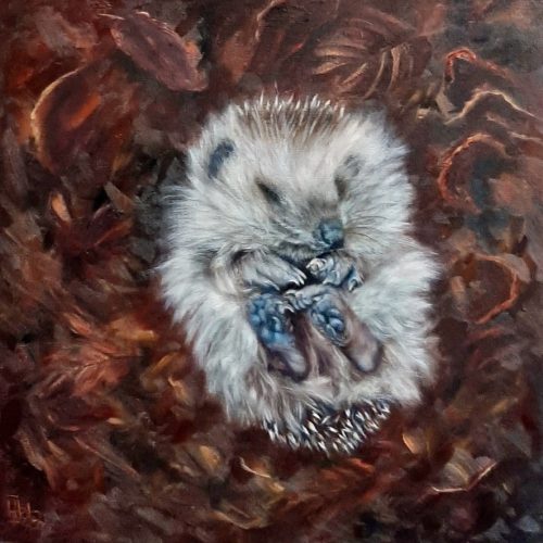 A04BE6ED-C041-4018-8277-90AAFE58A723_1_105_c