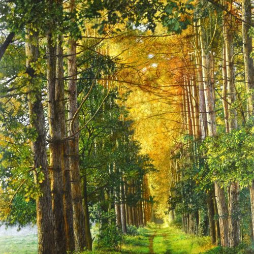 Dennenbosdreef-100-x-655-2025-scaled