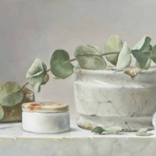 Eucalyptus-en-zalfpotjes