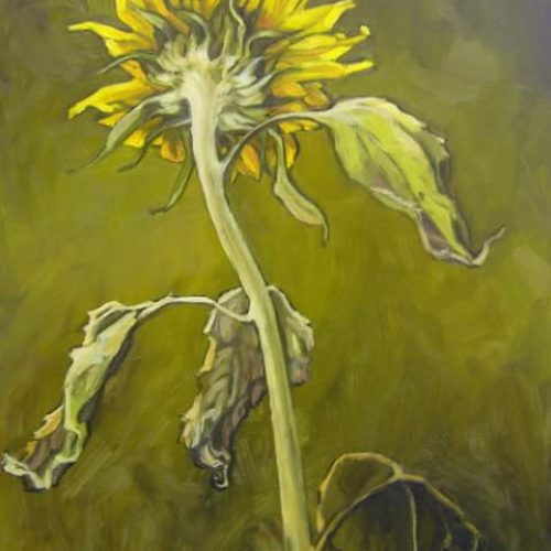 FB_IMG_1485461765256-1