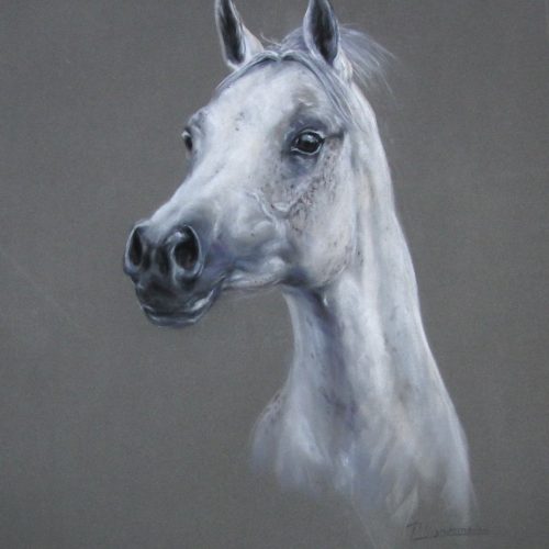 IMG_0327.JPG-2-3.jpg-2