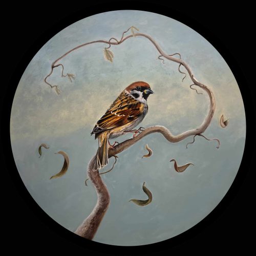 IMG_2024-02-17-202924