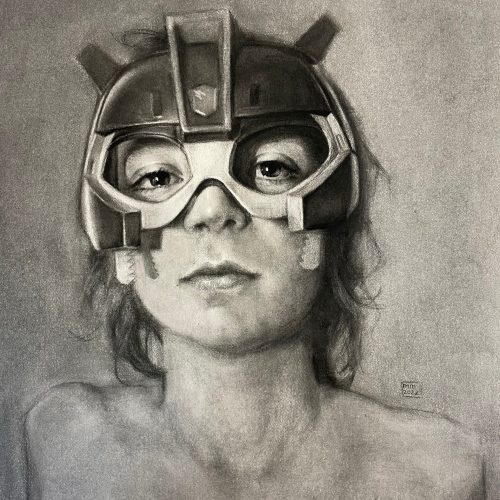 Transformermeerstersprofieljpg