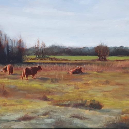 WitteveenHooglanders-RenskeSchilt