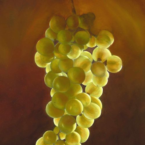 grapes-uitverg