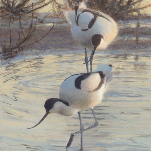 kluten-in-avondlicht-294