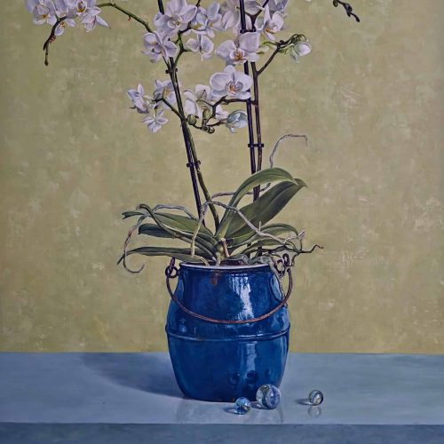 orchidee-in-blauwe-pot