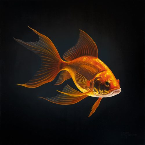 sjoerd_stellingwerf_fijnschilder_2303_sluierstaart