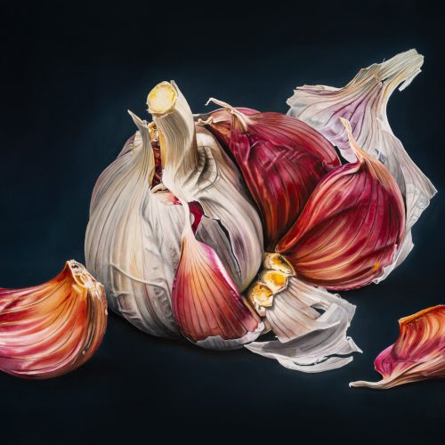 sjoerd_stellingwerf_fijnschilder_2310_knoflook