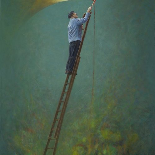 wouter-berns-de-hemelsnijder