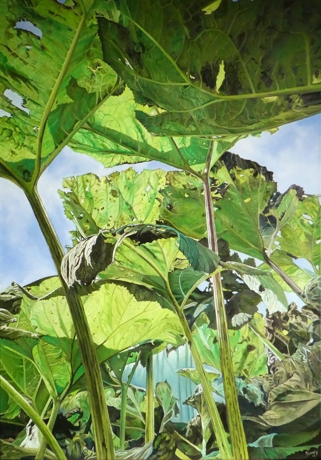 Van-onderen-bekeken-II