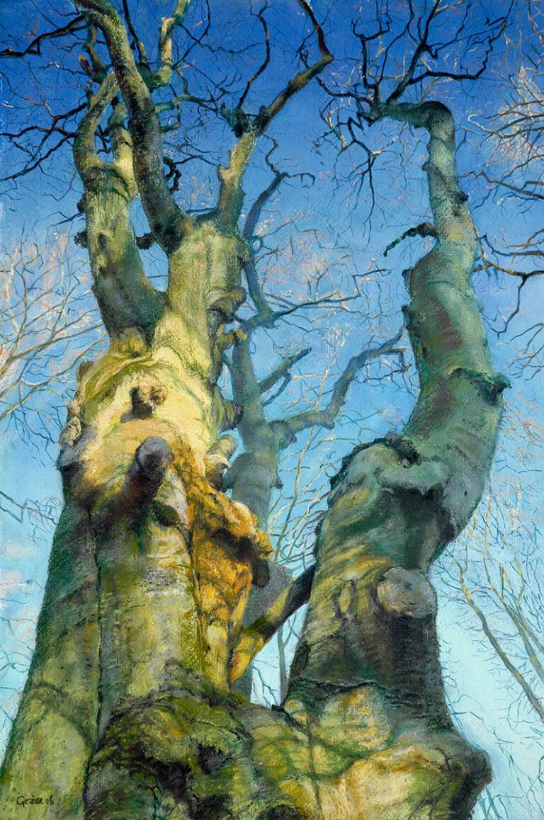 Reikend-naar-de-hemel