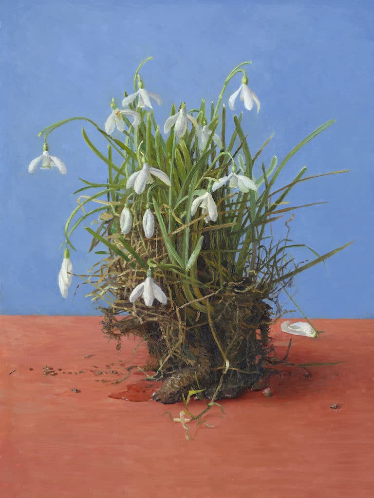 2MG-Kluitje-Sneeuwklokjes-2009-olieverf-op-paneel-37.0-x-28.0-cm-–-14.6-x-11-in-copy