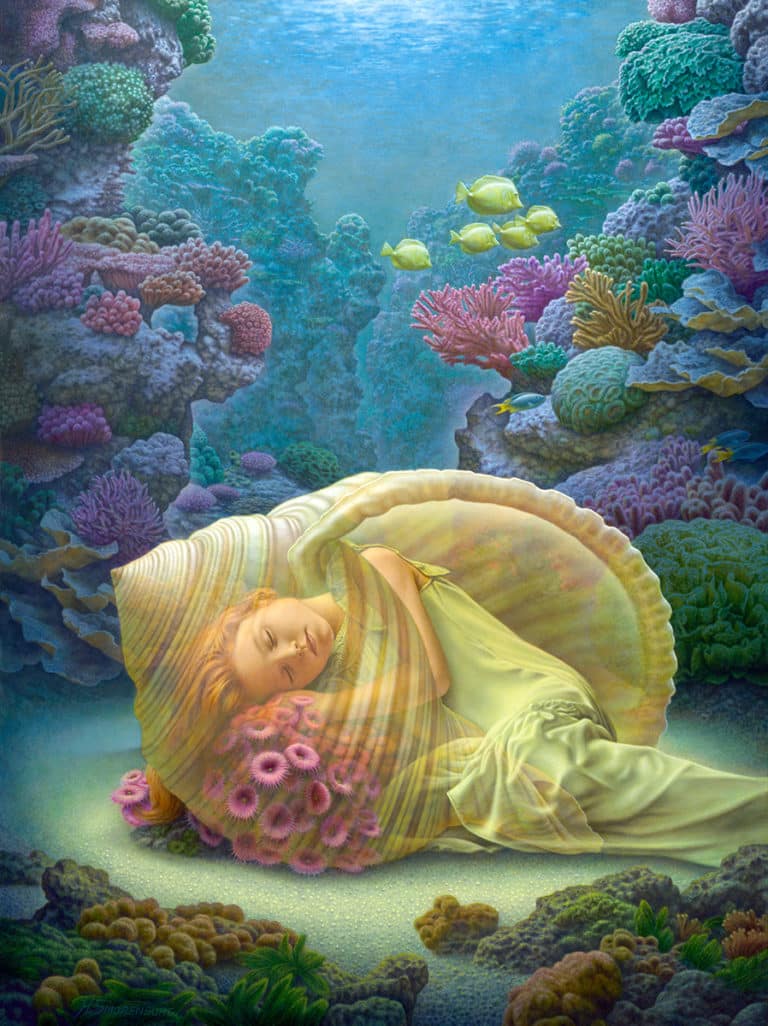 Coral-Dreams-Web-1